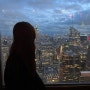 미국 뉴욕 1박2일 시내 투어 여행 코스 / 마이리얼트립 자유의여신상 크루즈&탑 오브더 락 야경