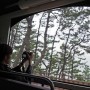 부산 해운대 해변열차 해운대블루라인파크 예매 이용 미포정거장 청사포 송정해수욕장