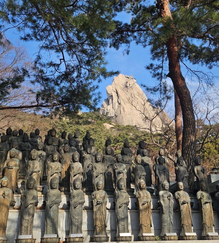 도봉산 초보 등산 코스 및 소요시간 (도봉산역 출발 ~천축사 ~ 마당바위 ~ 신선대 / Y 계곡) : 네이버 블로그