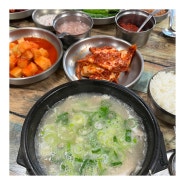 대구 서구 비산동 돼지국밥 유명한 시골돼지국밥