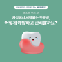 [메디밸류피드] 치석에서 시작되는 잇몸병, 어떻게 예방하고 관리할까요?