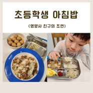 초등학생 아침밥 아침식단 / 영양사 조언 추가