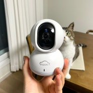 이글루캠 A2 홈카메라 반려동물 고양이 홈캠 cctv