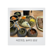 [속초맛집] 맛있고 건강한 한끼 - 농부의 밥상 (속초맛집, 속초나물밥, 강원나물밥, 농부의밥상, 농부의밥상속초점, 건강한 한끼, 속초한식맛집, 강원도식자연식사, 강원나물밥지정점)