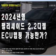팰리세이드 디젤 2023년 6월식인데 ECU맵핑이 되나요?