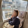 [교토/오사카 가족여행] 간사이공항에서 교토역까지 하루카 특급열차 타는법 | 실물티켓 교환 | 시간표 | 자유석 후기