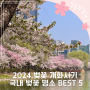 2024 벚꽃 개화시기 및 전국 벚꽃 명소 BEST 5