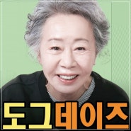 영화 도그데이즈 정보 관람평 출연진 평점 포토, 감독이 이 캐릭터를 제일 좋아했다고?