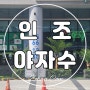 인조 야자수, 인천시 송도 식당 야외에 대형 야자나무 조경 완성