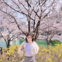 2024 서울에서 즐길 수 있는 데이트 코스 벚꽃축제 및 명소 추천