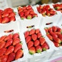 논산 딸기축제 달콤한 딸기 맛보고 즐기려면 일찍가는게 정답!! (3일차 축제 후기)