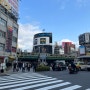 일본 도쿄 여행! 돌아다니며 찍은 사진들