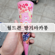 [편의점] 월드콘 딸기마카롱