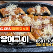 밀양맛집추천 산삼장어구이 보양식 KBS SBS MBC 방송 맛집