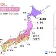 후쿠오카 벚꽃 개화시기 상태 여행 날씨 옷차림 준비