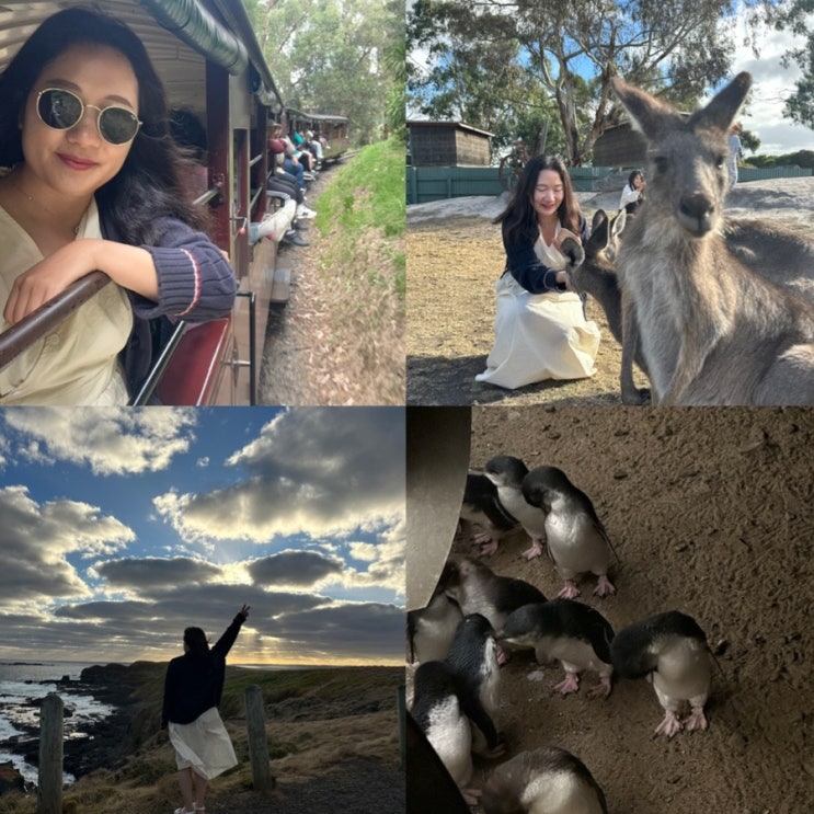 MelbourneDay2:퍼핑빌리지&필립아일랜드투어(사사프라스동화마을, 그란....