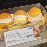 삿포로 오타루 여행 : 디저트 아이스크림과 슈 맛집 오타루 키타카로 KITAKARO