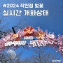 2024 작천정 벚꽃 3월 23일자 실시간 개화상태 푸드트럭 종류 가격 놀이터 공연 위치