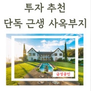 강남 근교 판교 베스트하우스 단독주택 근생 신축부지.