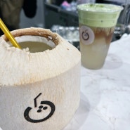 시즈오카시 :: 일본 최초! 코코넛 워터를 이용한 카페, coco水(cocosui)