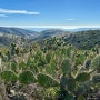 캘리포니아여행 - 뉴포트비치의 숨겨진 하이킹 보석, Bommer Ridge 트레일