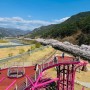 구례가볼만한곳 "섬진강 수달생태공원" 트리타워전망대 구례벚꽃명소