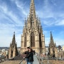 바르셀로나 대성당 내부 루프탑 입장 추천 | 입장료 및 티켓 구매 방법