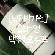 올리브영 탈모샴푸 닥터방기원 맥주효모 샴푸 리얼 후기 !!