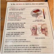 부비동이 좋아지면 폐활량이 늘어납니다.