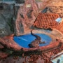 부산해양자연사박물관 진짜 악어가 있는 아이랑 가볼만한곳