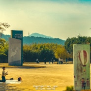 오랜만에 나가본 주말 태화강 국가정원 벚꽃 개화상황 그리고 플리마켓
