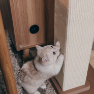 아토주 고양이 수직 대형 스크래쳐 크고 좋네!