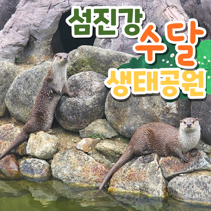 전남 구례 섬진강수달생태공원