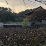 [청주여행]내돈내산/꿍쉐린가이드/후마니타스/도서관부터 연꽃정원까지 마음이 낙낙해지는 곳