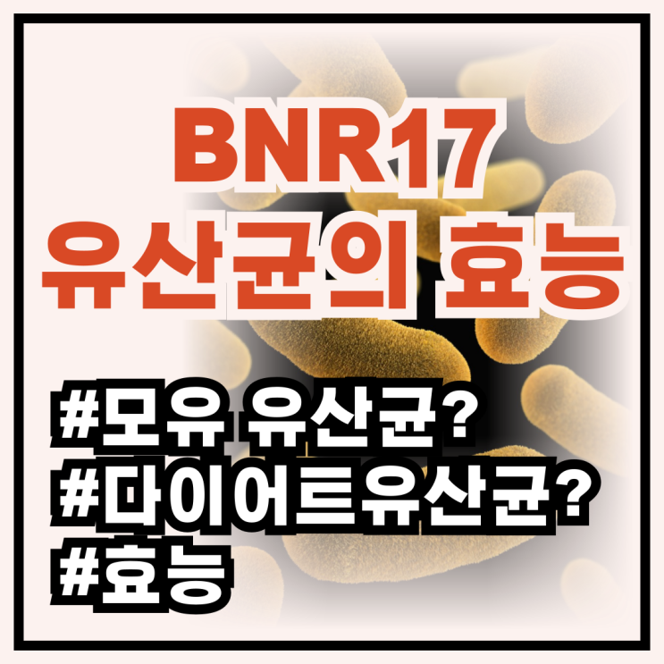 모유유산균 BNR17 유산균. 효능있을까? 부작용? (락토바실러스 가세리, 다이어트유산균?) : 네이버 블로그