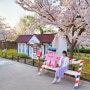 2024 진해 벚꽃 축제, 경화역 포함 명소 8곳!(ft. 기간)