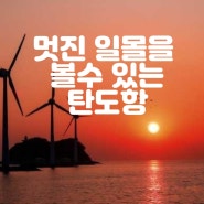 서울근교데이트코스 총정리 '맛과 멋의 향연 대부도, 제부도, 탄도항'