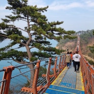 울산 대왕암공원 관람코스는 출렁다리부터 시작