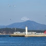 충남_서천여행 / 서천 가볼만한 곳 [홍원항]