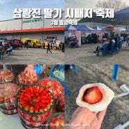 3월 밀양축제 삼랑진 딸기 시배지 축제 (일정/주차장)