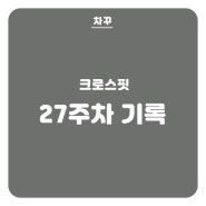 [크로스핏] 27주차, 신디 / 핸즈스탠드푸쉬업 / 와드 두타임