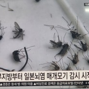 부산방충망으로 교체하면 일본뇌염모기에도 끄떡없어요