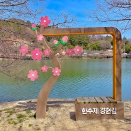 광주 근교 전남 나주 숨은 벚꽃 명소 한수제 경현마을