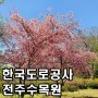 전북 가볼만한곳 전주 데이트코스 한국도로공사 전주수목원