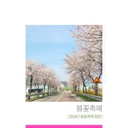 2024년 봄꽃축제 지역별 봄꽃축제 일정 정리