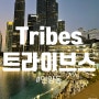 두바이 분수쇼 두바이몰 명당 자리 앉는 꿀팁 Tribes 트라이브스