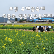 포항 가볼만한곳 구룡포 일본인 가옥거리 홍게모리국수 호미곶 유채꽃 축제