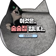 펫츠몬 고양이 도넛형 더블 홀 펠트 숨숨 집 터널(가성비 제품!)