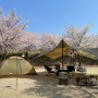 벚꽃캠핑 너무 완벽했던 대구 경북 봄캠핑