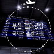부산 김해공항 국제선 층별 주요 시설 정보 (은행/통신사/식당/카페/편의점/약국 등)